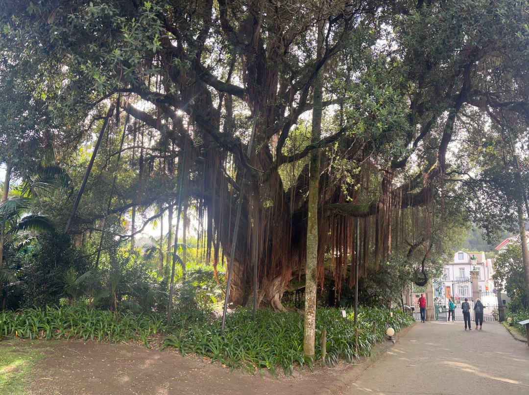 Parque Terra Nostra-富尔纳斯必去景点