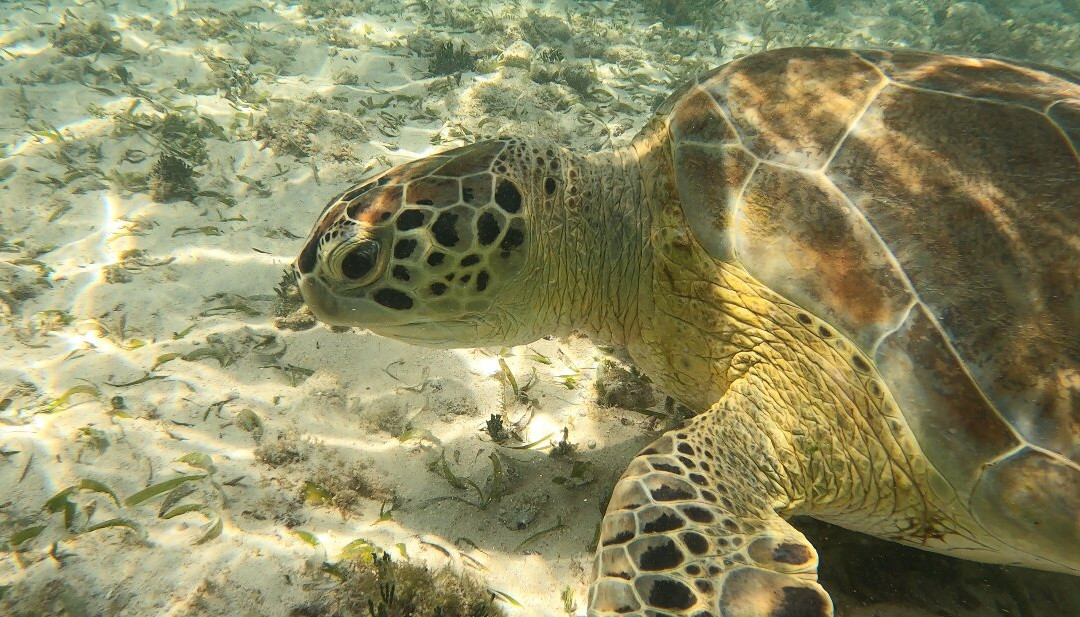 Arubiana-Noord必去景点