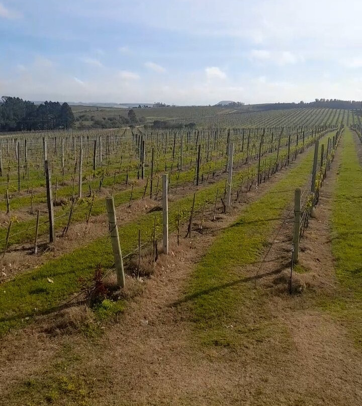 Vinícola Almadén-Santana do Livramento必去景点