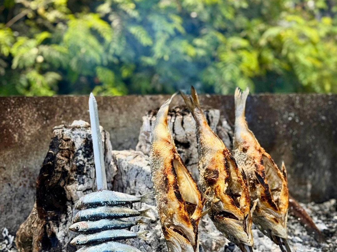 Hotel Santa Rosa主图