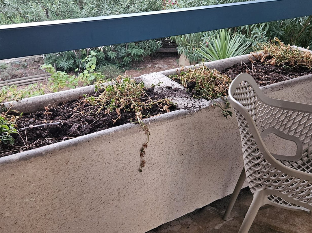 Najeti Hôtel la Magnaneraie主图