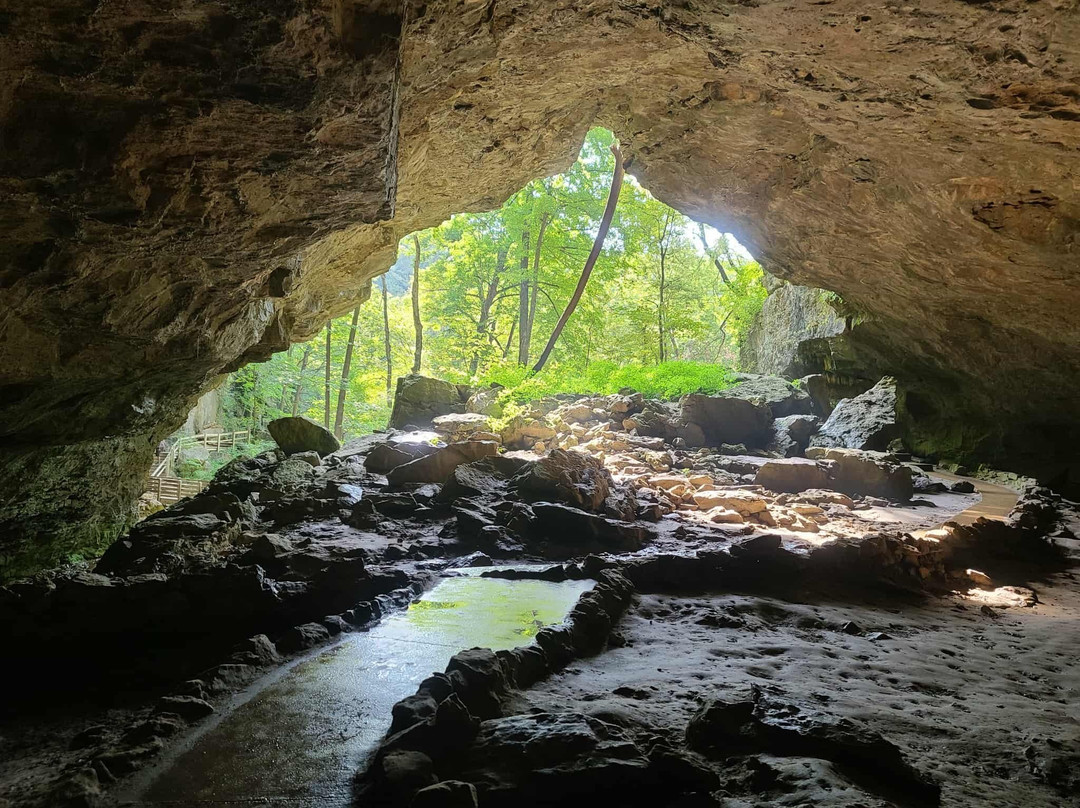 Maquoketa Caves State Park-Maquoketa必去景点