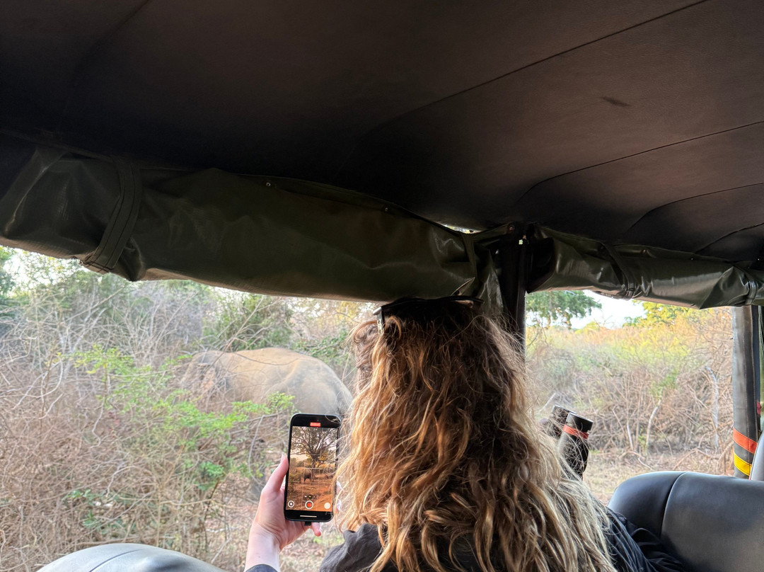 Sudu Yala Tusker Safari-蒂瑟默哈拉默必去景点