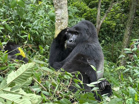 Safaris By Jon-坎帕拉必去景点