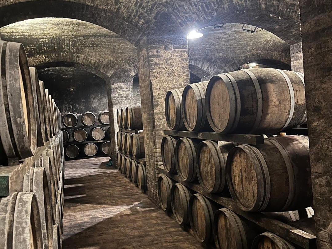 Azienda Agraria Scacciadiavoli-Montefalco必去景点