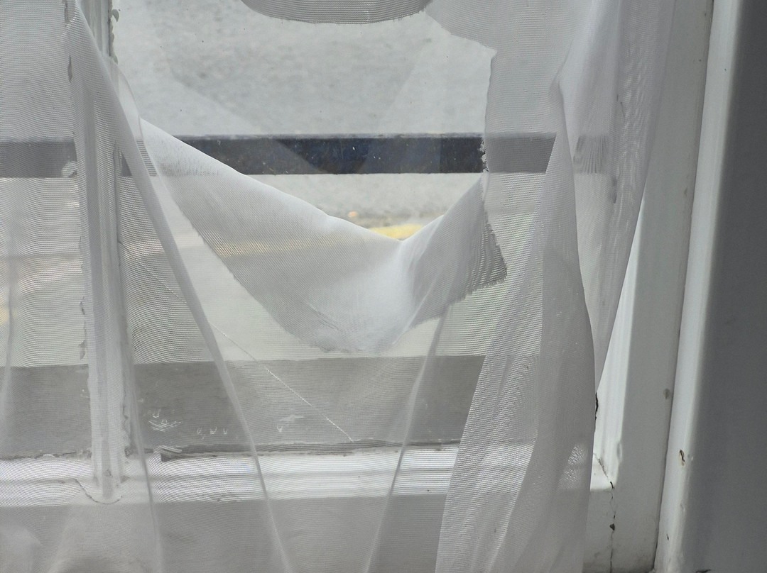 The Black Lion Royal Hotel主图