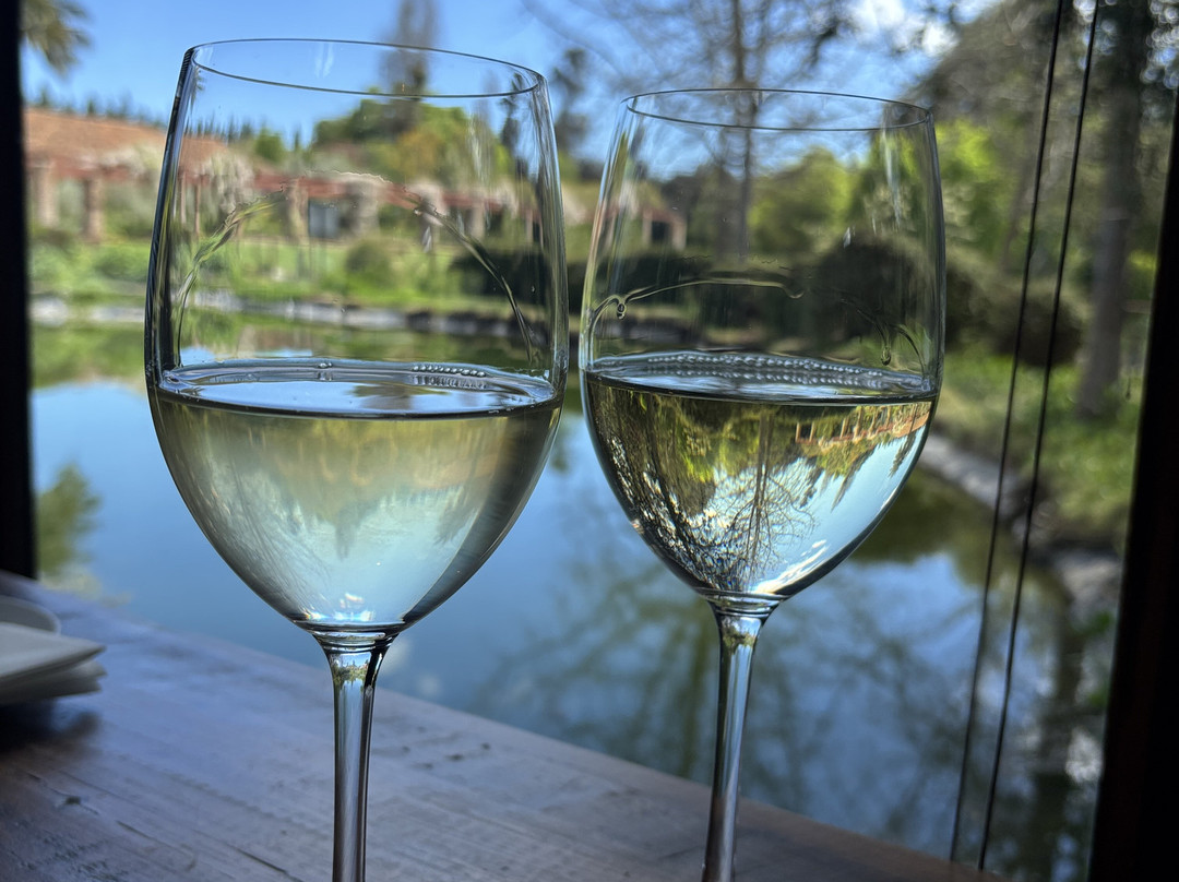 La Casona At Matetic Vineyards主图