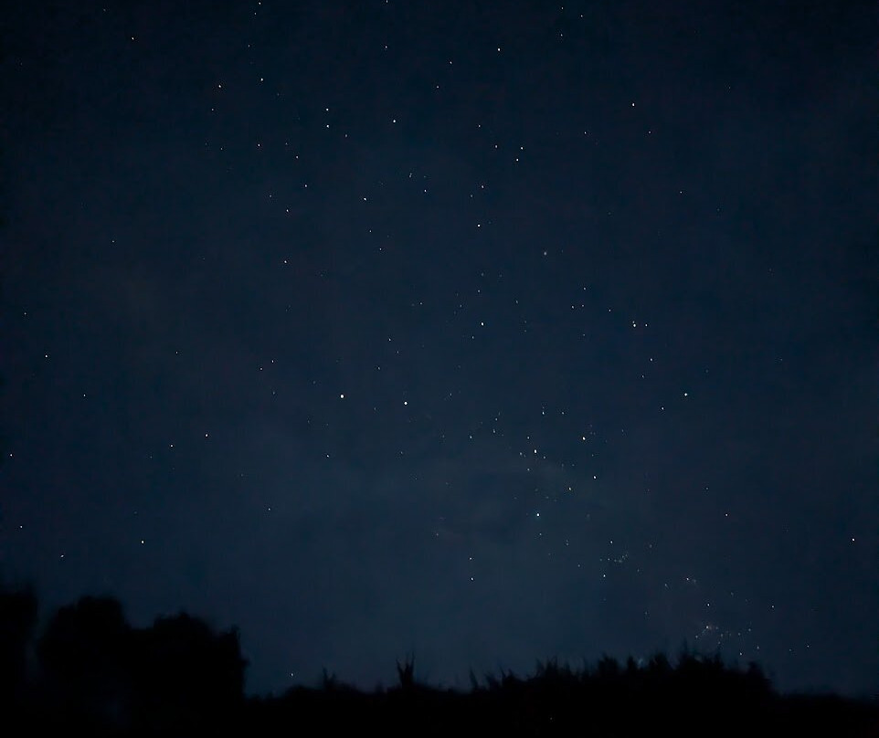 Kiwiness Tours-马塔卡纳小镇必去景点