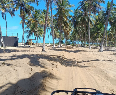 Edvantur-Maceio必去景点