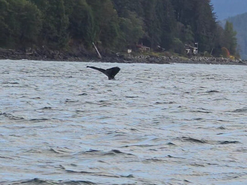 Alaska Travel Adventures-朱诺必去景点