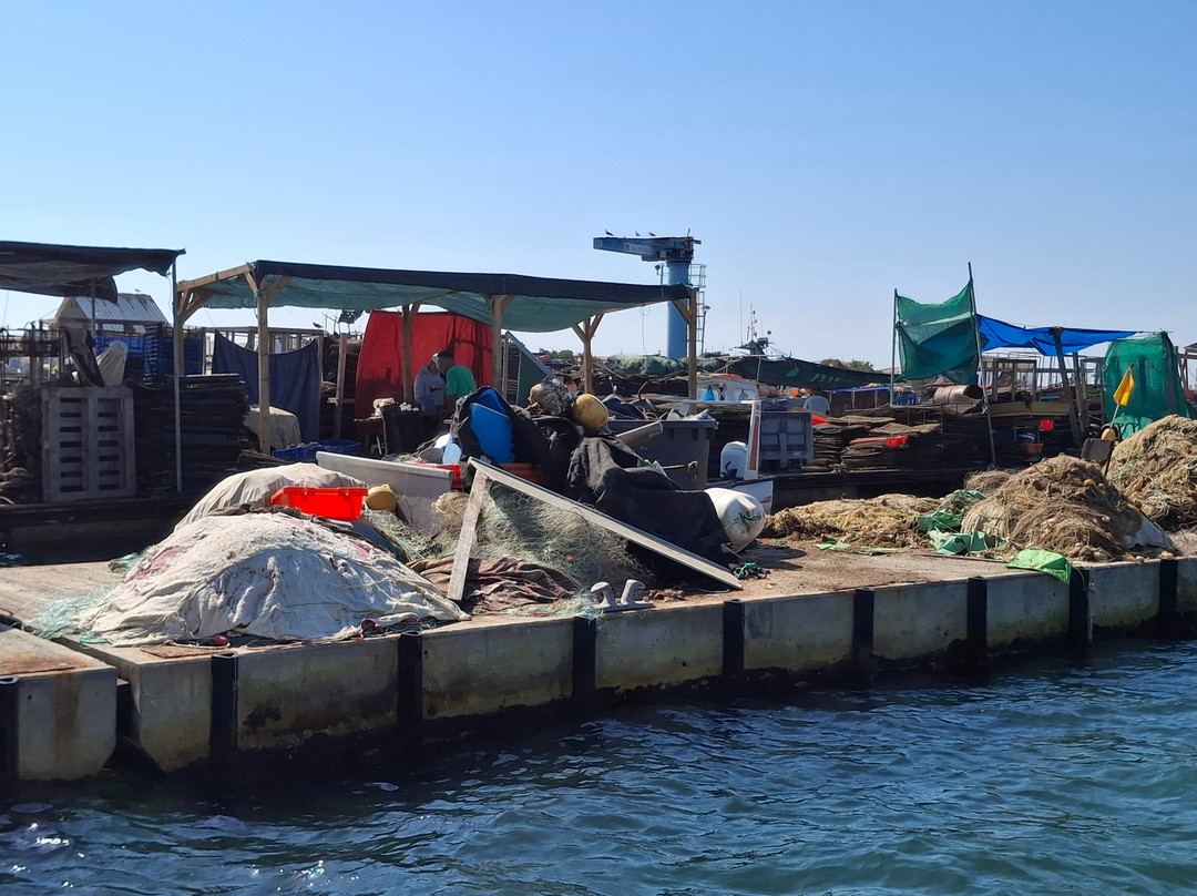 Fantastikspirit Boat Trips & Tours-奥良必去景点