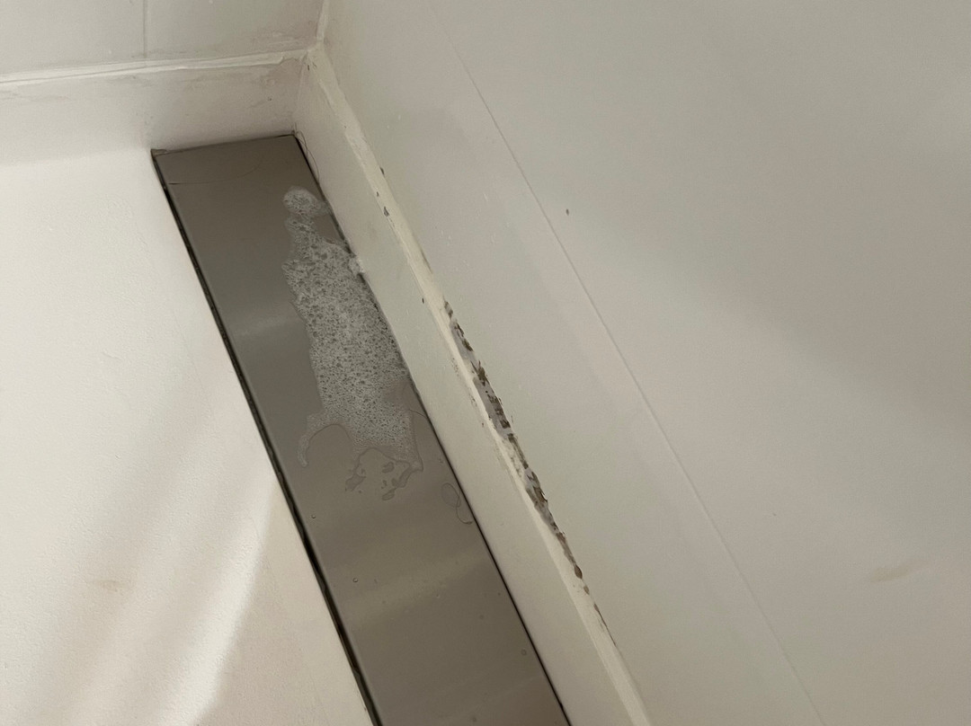 Hampton Inn & Suites By Hilton Augusta-washington Rd主图