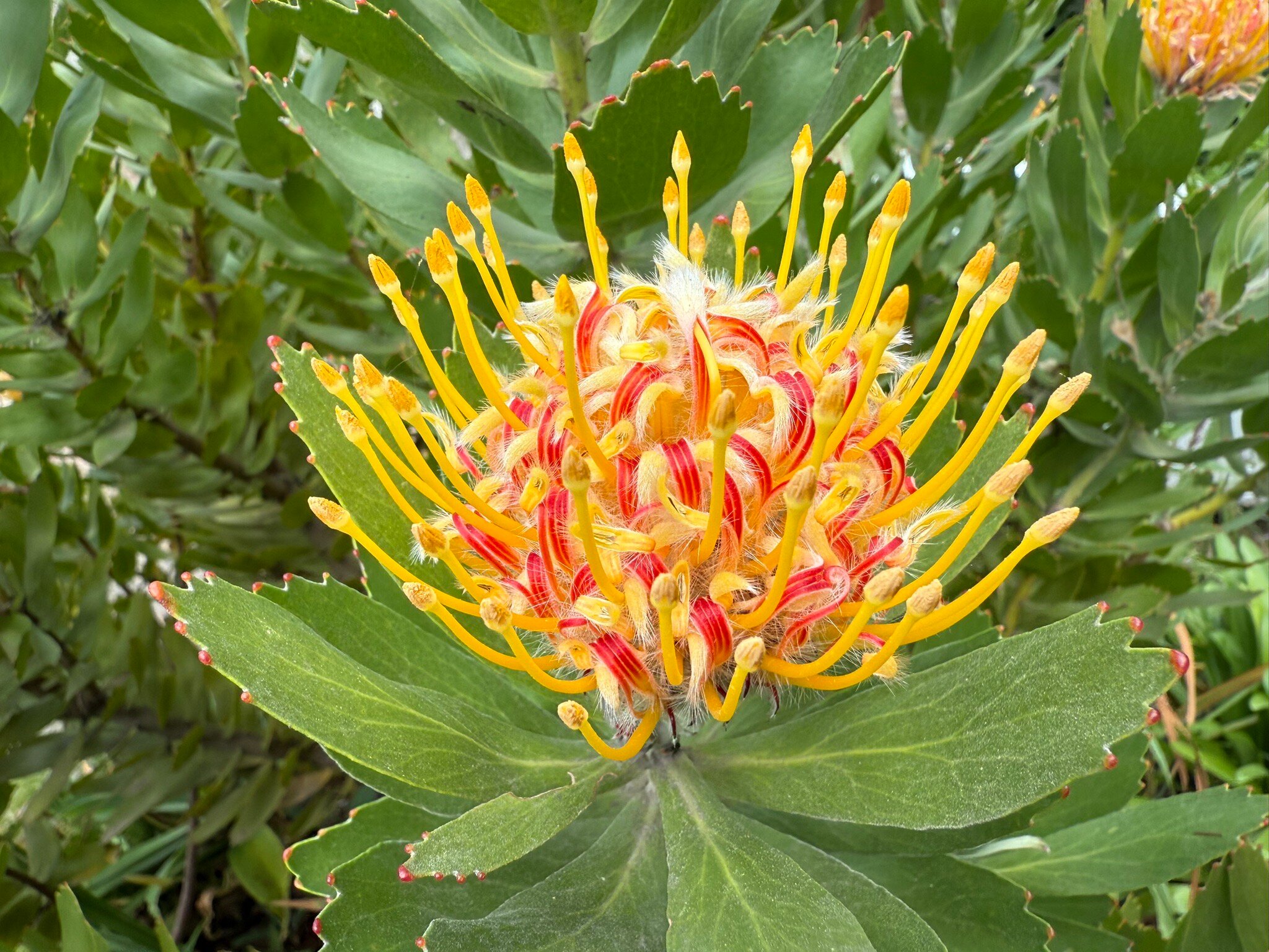 Schoone Oordt Country House-官方