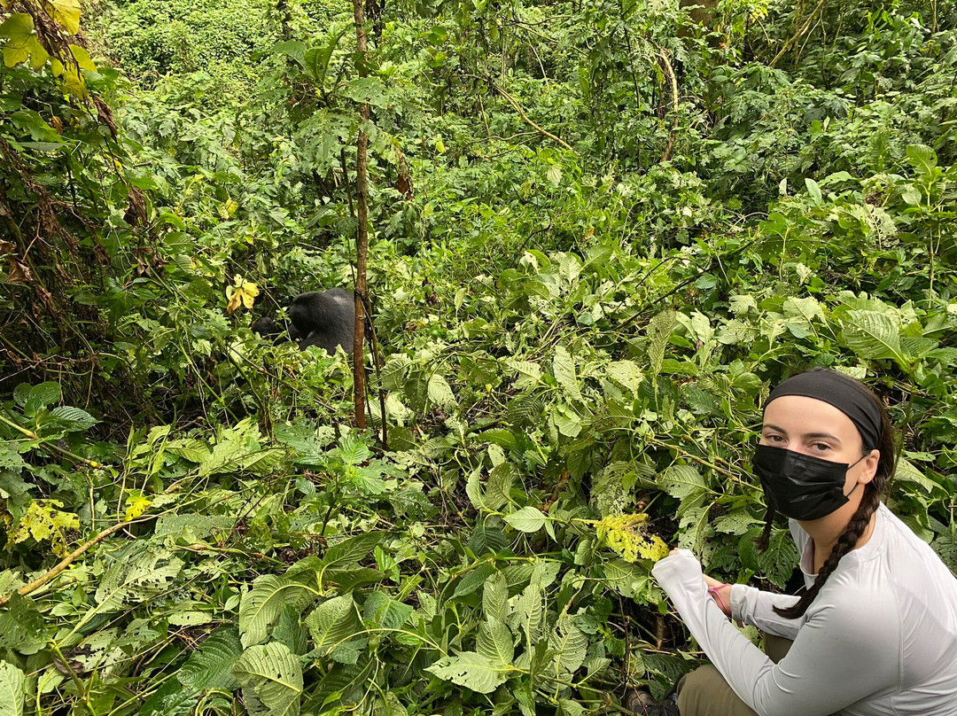 Mission Africa Safaris-Ruhengeri必去景点