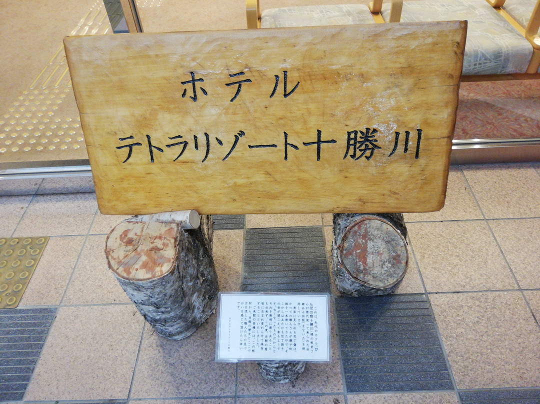 Hotel Tetora Resort Tokachigawa主图