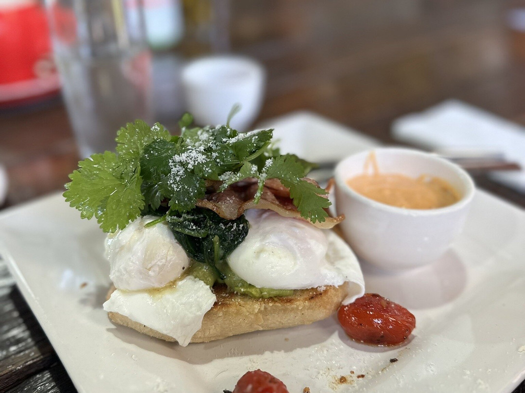 Klein Karoo Ostrich Emporium-奥兹洪必去景点