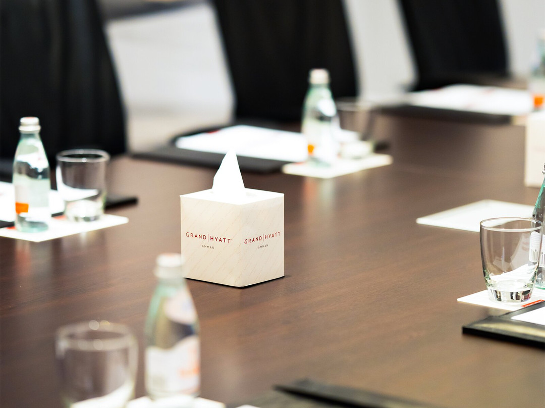 安曼凯悦大酒店主图