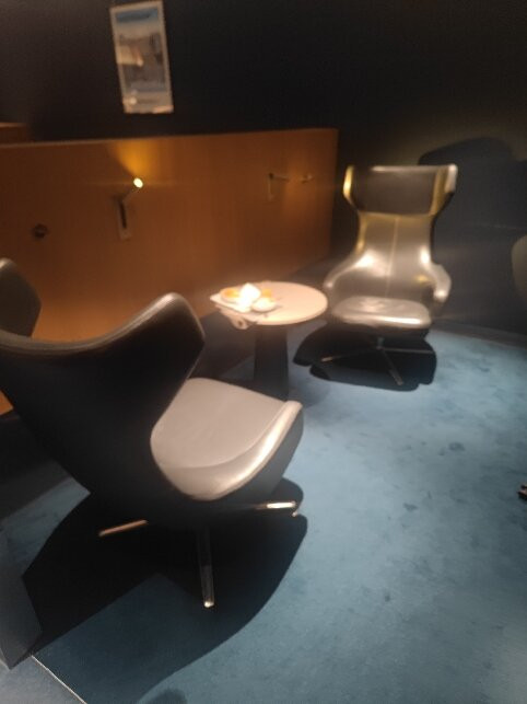 Salon Air France Terminal 2E-鲁瓦西必去景点