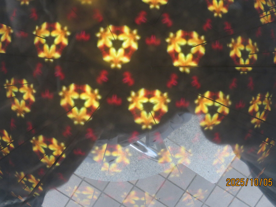 Bizan Ropeway Summit Observatory Deck-德岛市必去景点