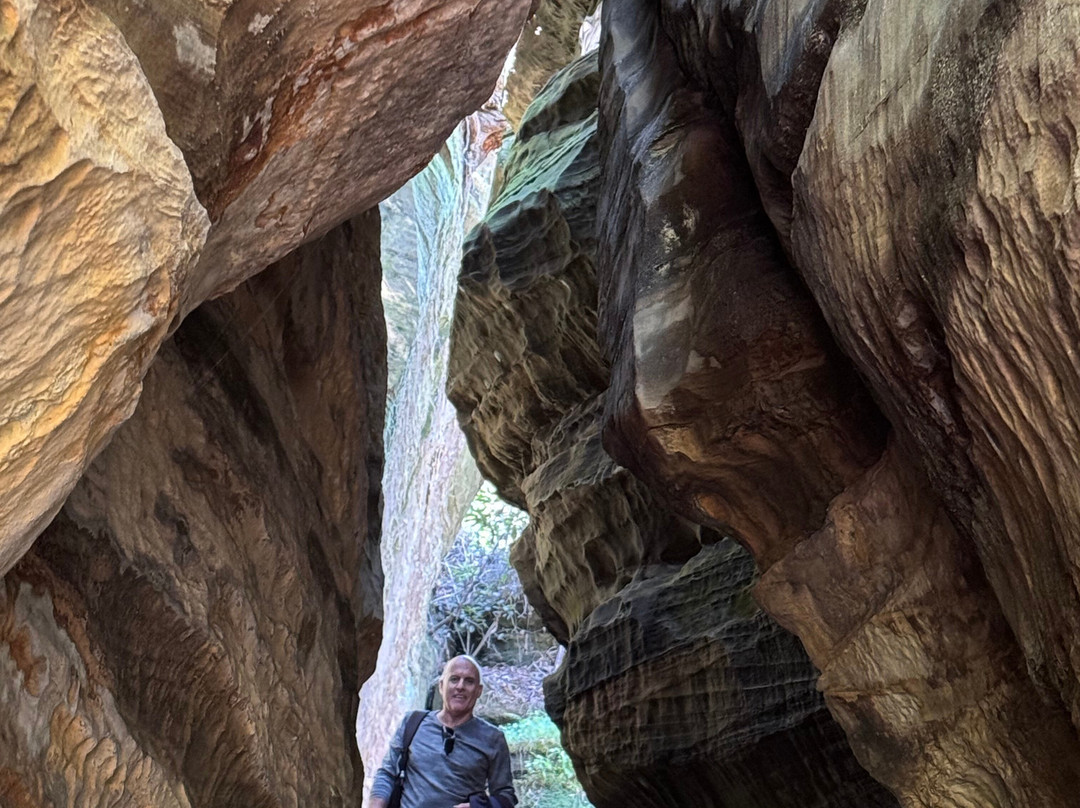 Carter Caves State Resort Park-Olive Hill必去景点