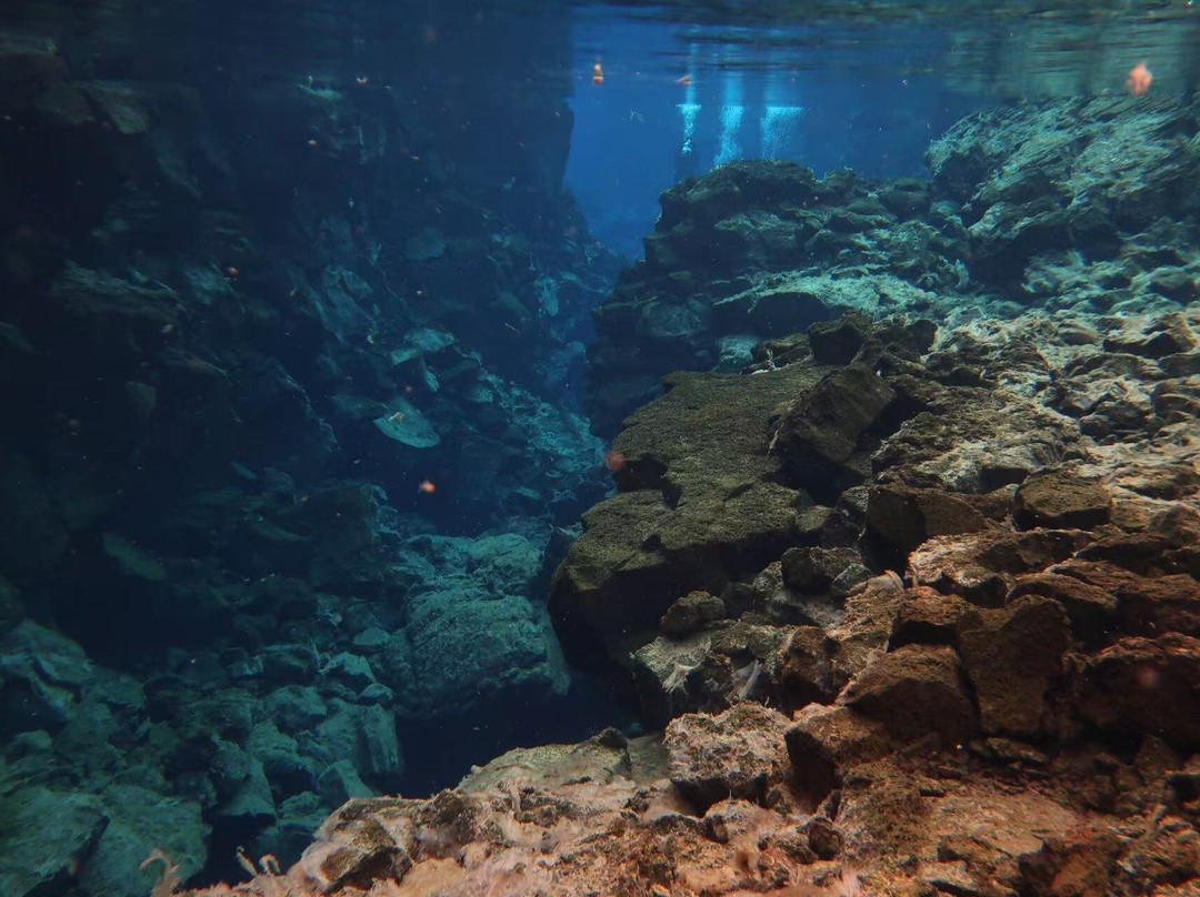 潜水一日游-雷克雅未克必去景点