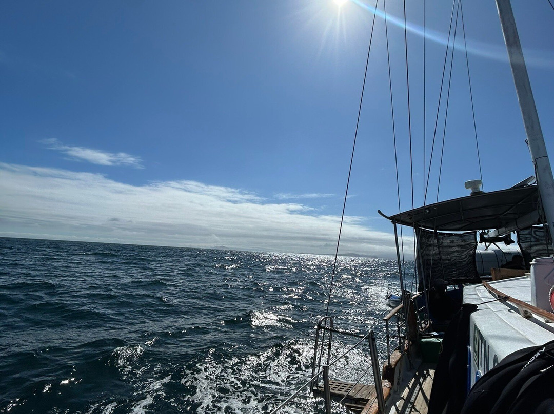 Metropolitan Touring-Baltra必去景点