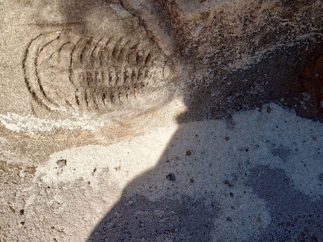 Kooser State park-萨默塞特必去景点