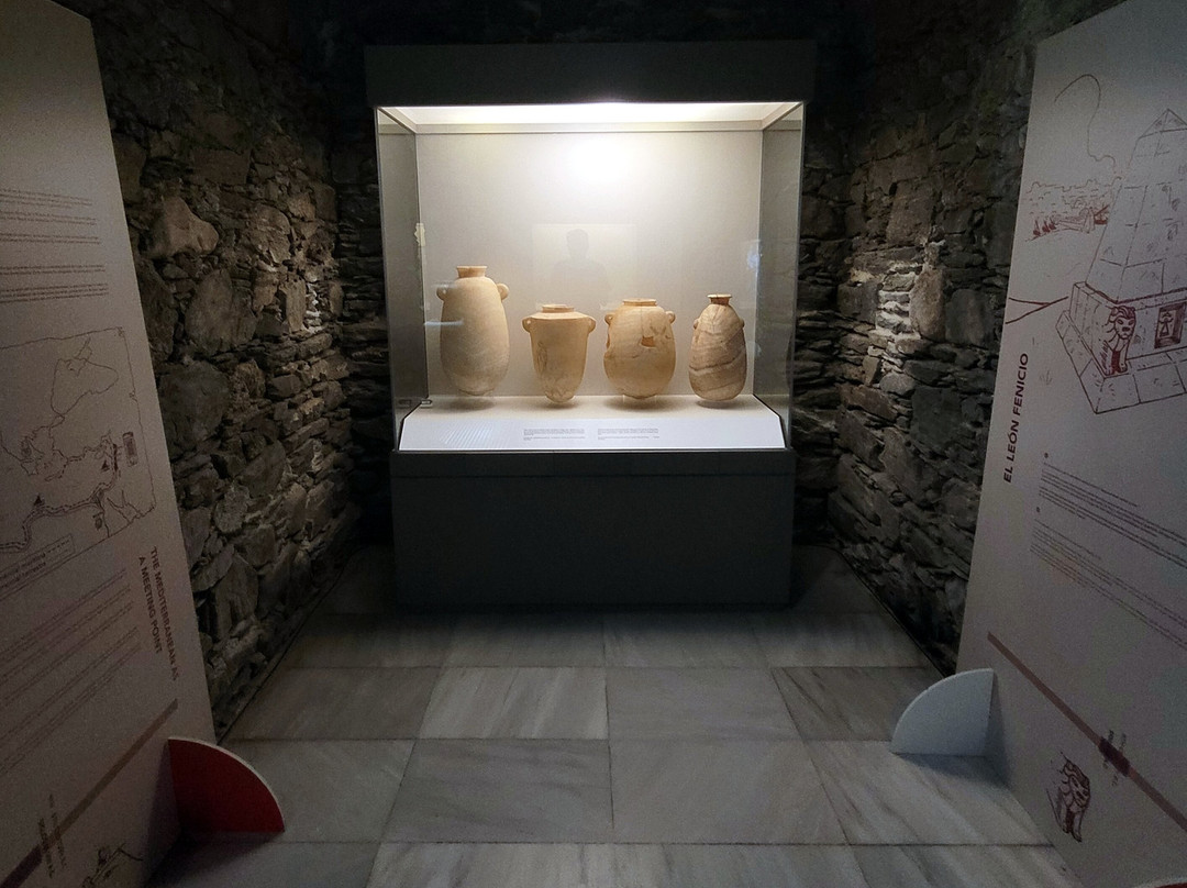 Cueva de Siete Palacios - Archaeological Museum-阿尔穆涅卡尔必去景点