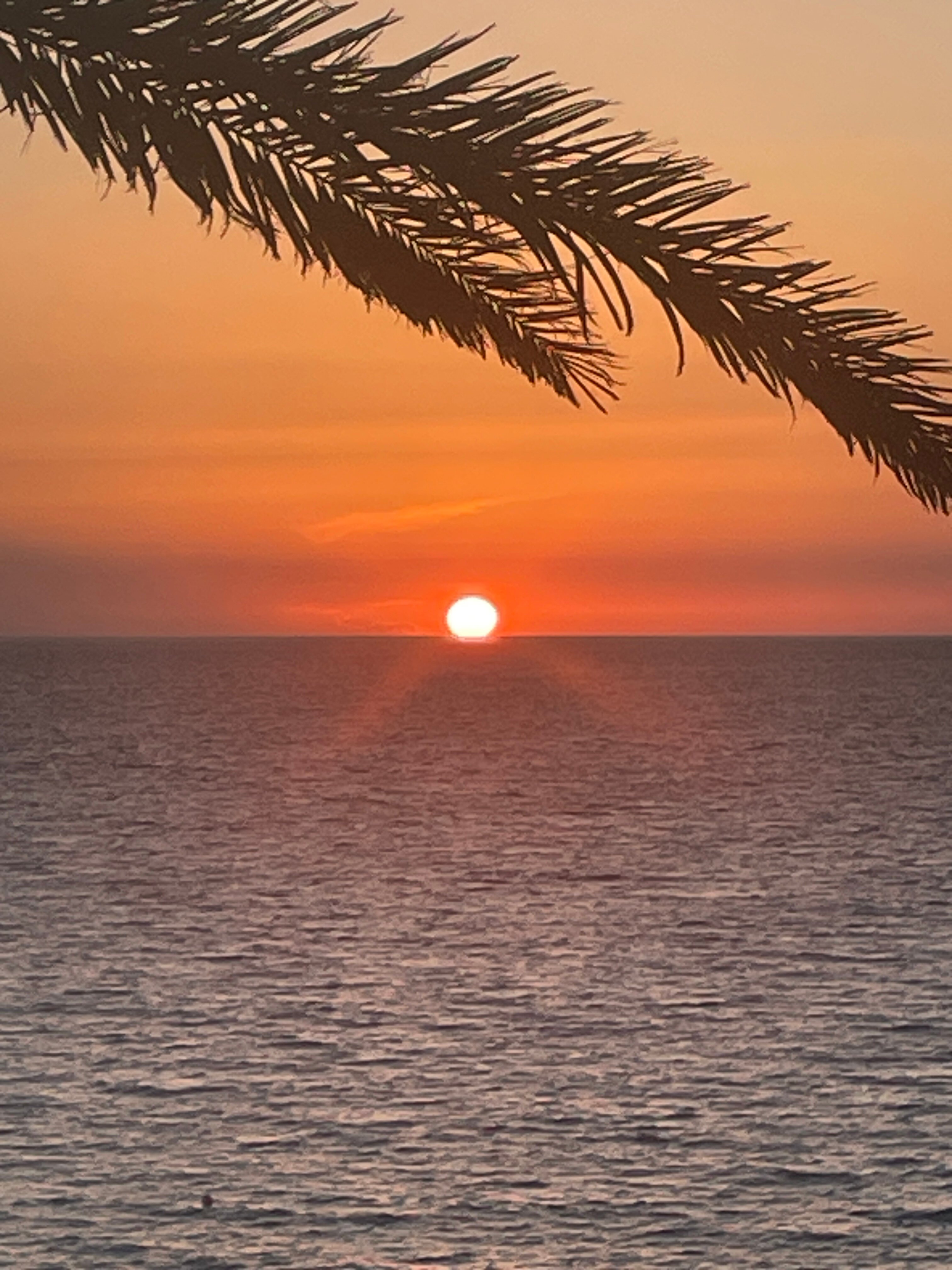 Vrachia Beach Hotel & Suites-酒店景观