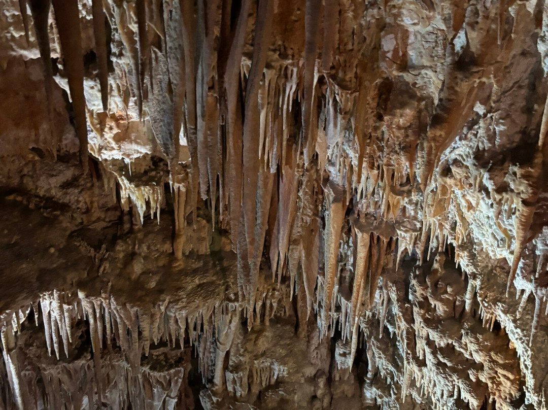 Grotta del Trullo-Putignano必去景点