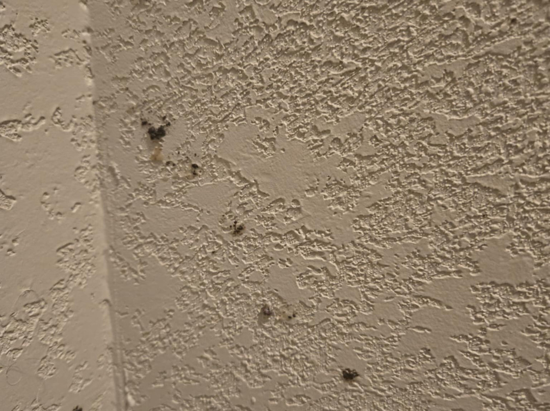 Days Inn by Wyndham Eagan Minnesota near Mall of America主图