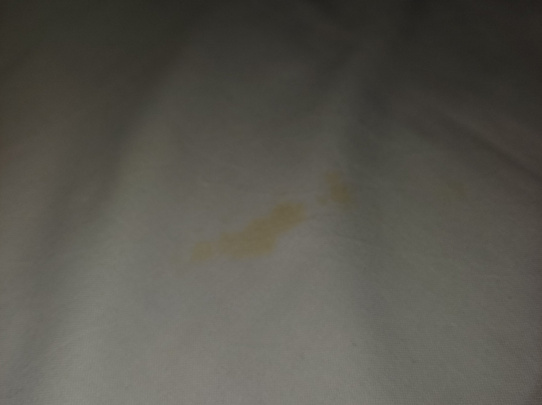 茱莉斯诺丁汉旅馆主图