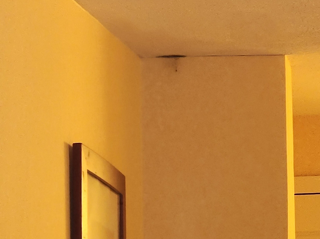 杜松山旅馆主图