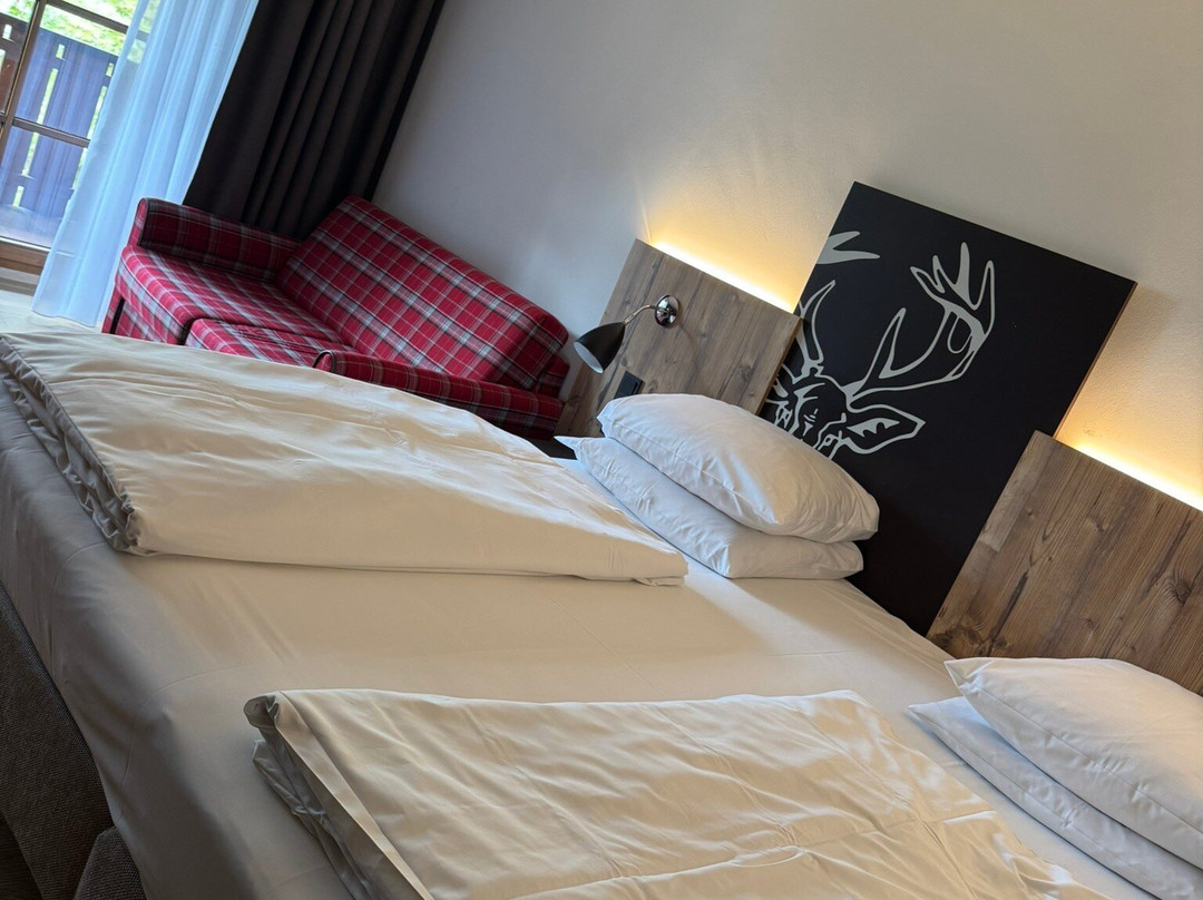 阿尔佩尼特瑞夫酒店主图