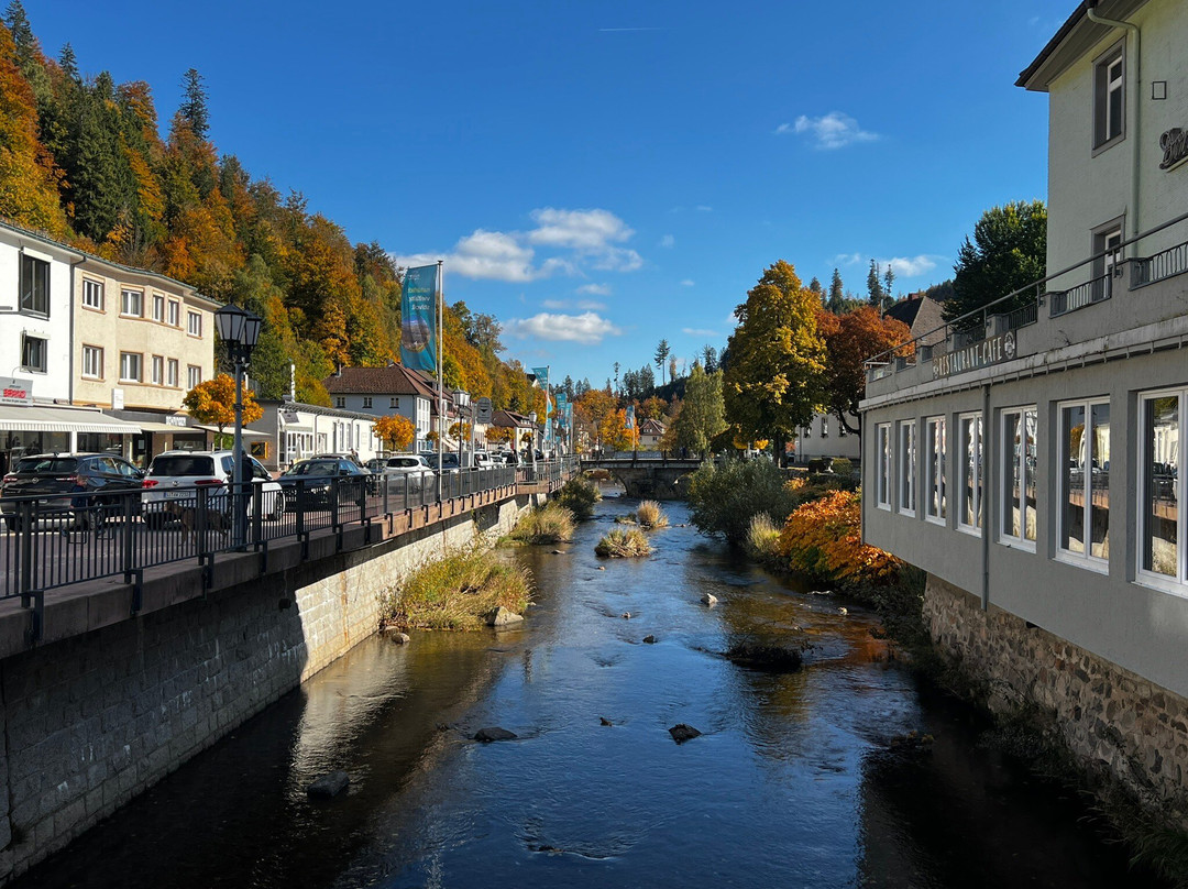 Dom St. Blasien-Sankt Blasien必去景点
