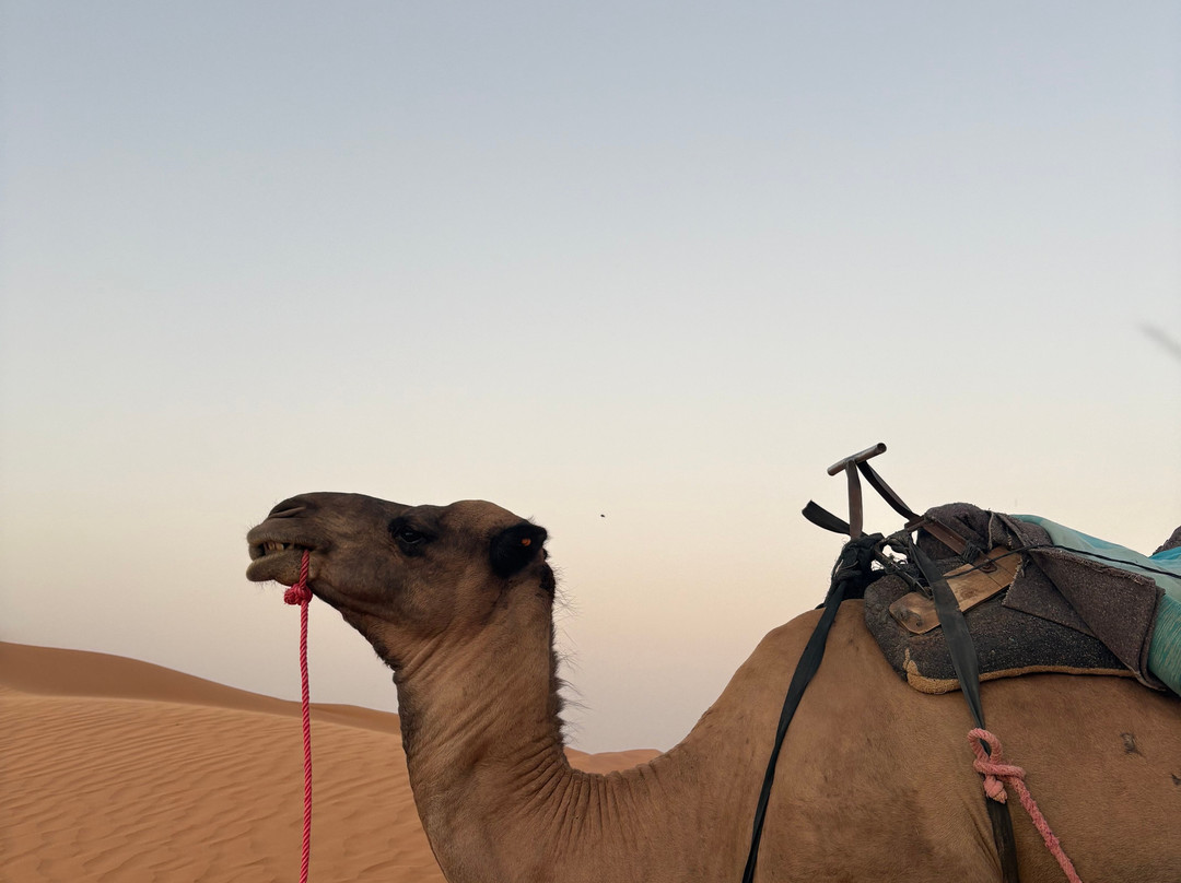 Spirit of Morocco-阿伊特·本·哈杜筑垒村必去景点