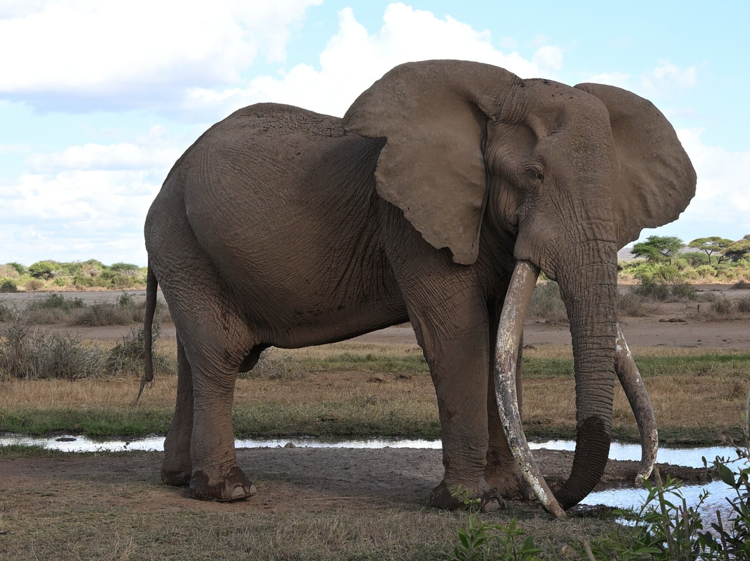 Wild Eye-弗维斯必去景点