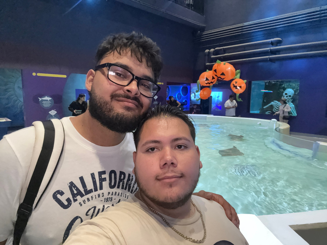 Acuario Michin Guadalajara-瓜达拉哈拉必去景点