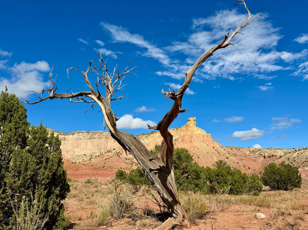 Ghost Ranch-Abiquiu必去景点