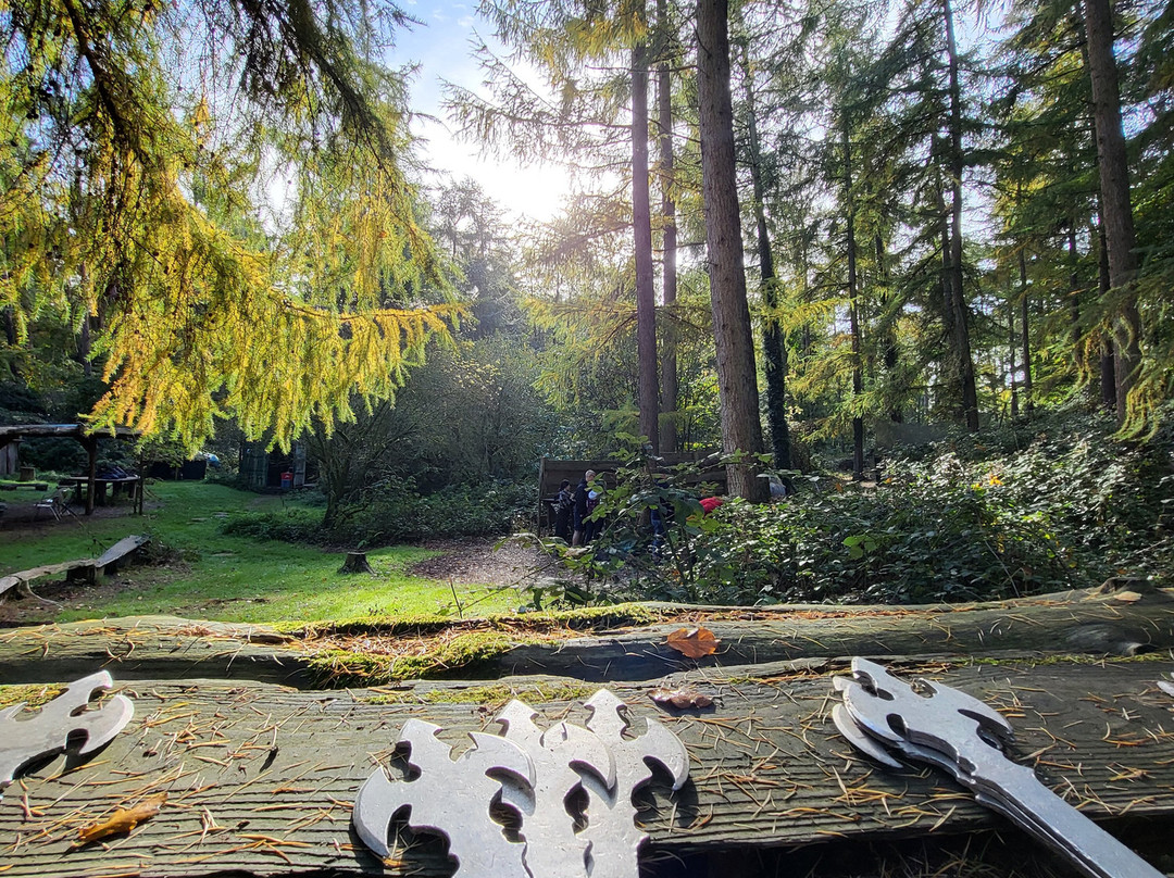 Insight Activities New Forest-Fordingbridge必去景点