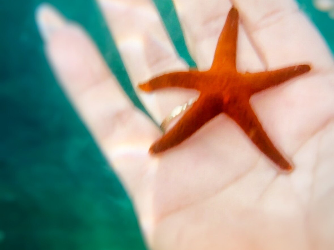 Show Lanka Tours-Minuwangoda必去景点