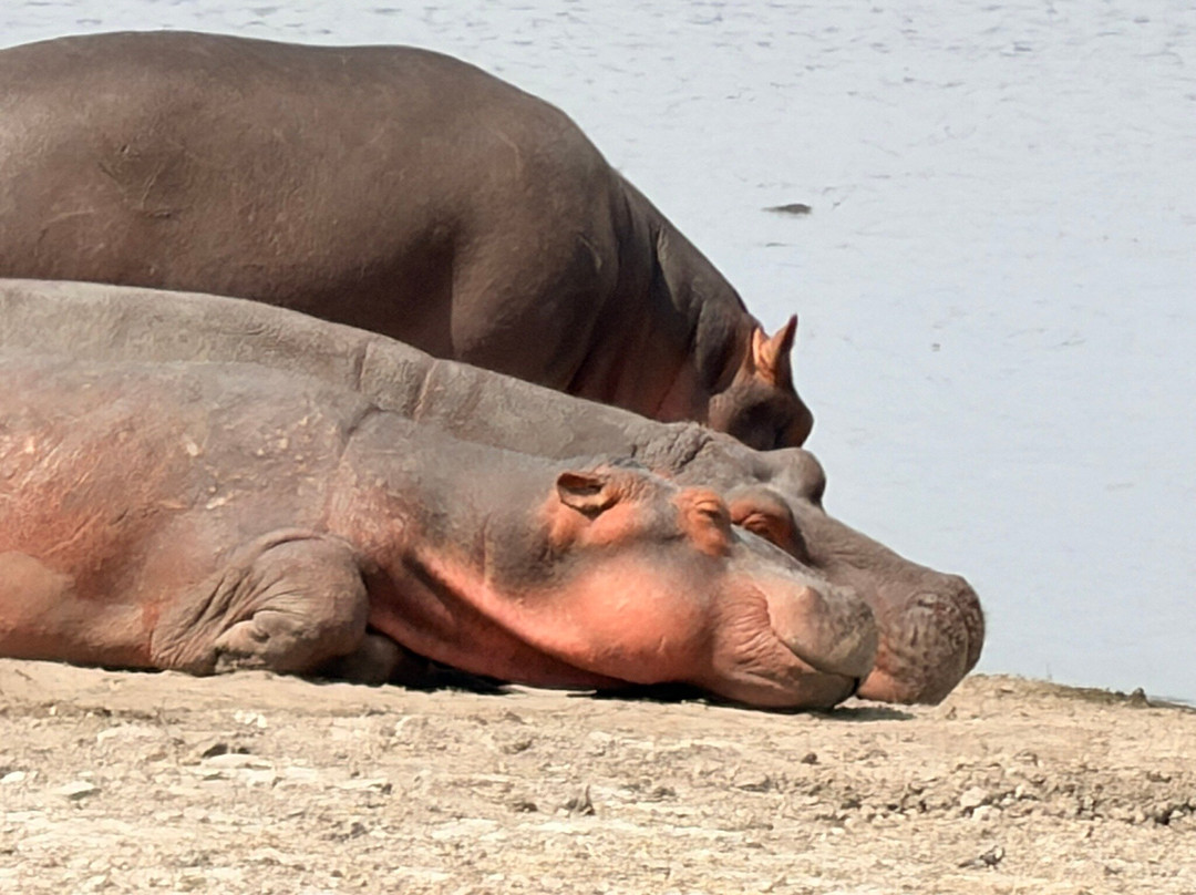 Ajkenyasafaris.com Ltd-Ruiru必去景点