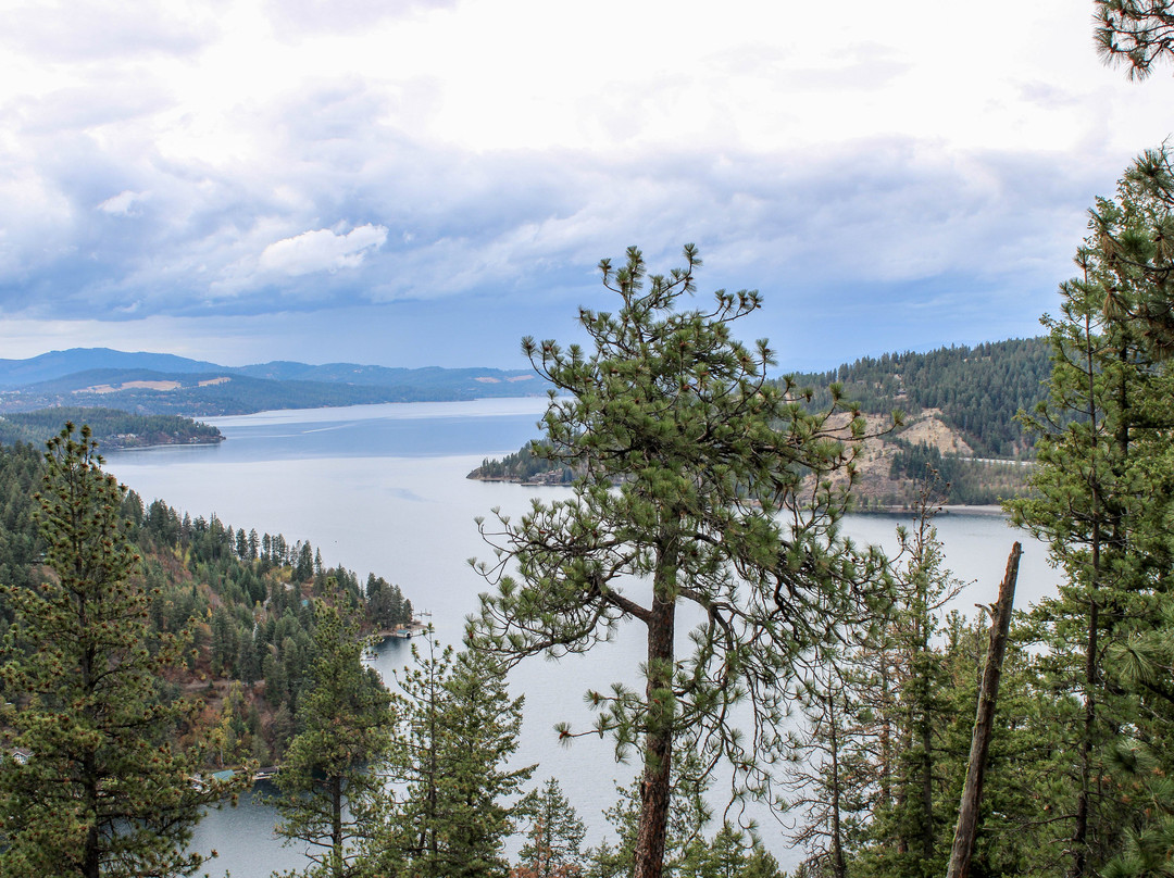 Mineral Ridge National Recreation Trail-科达伦必去景点