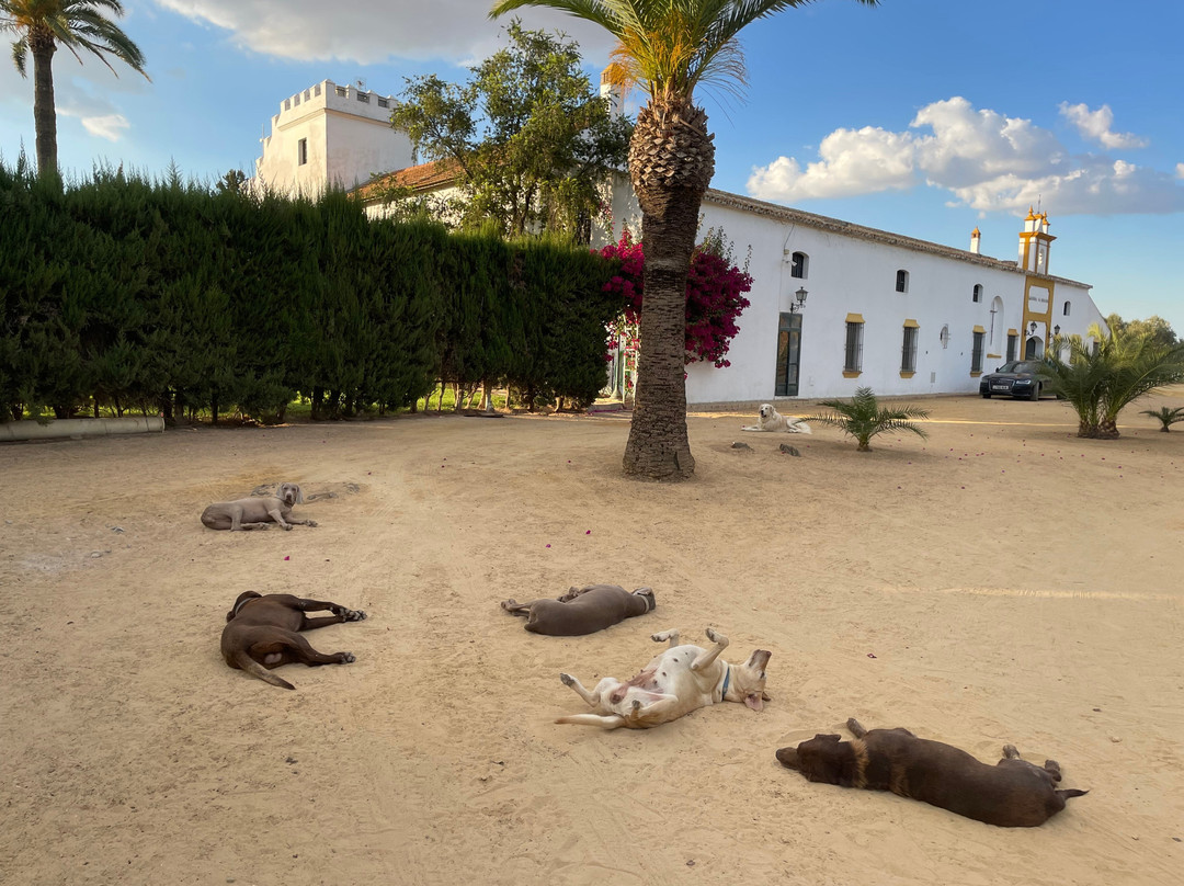 Hacienda La Indiana主图