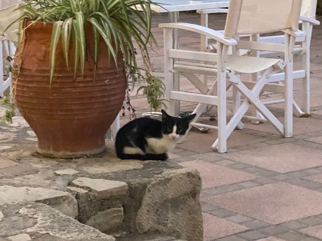 Matala Valley Village Hotel主图