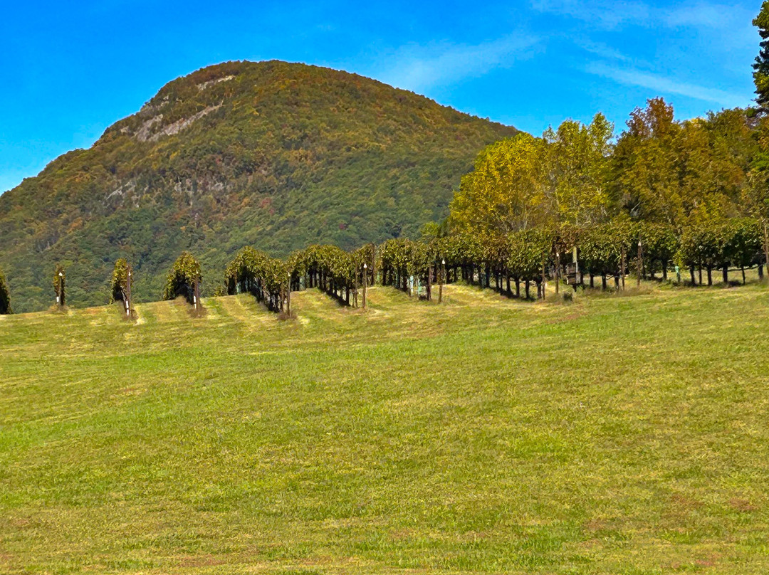 Yonah Mountain Vineyards-Cleveland必去景点