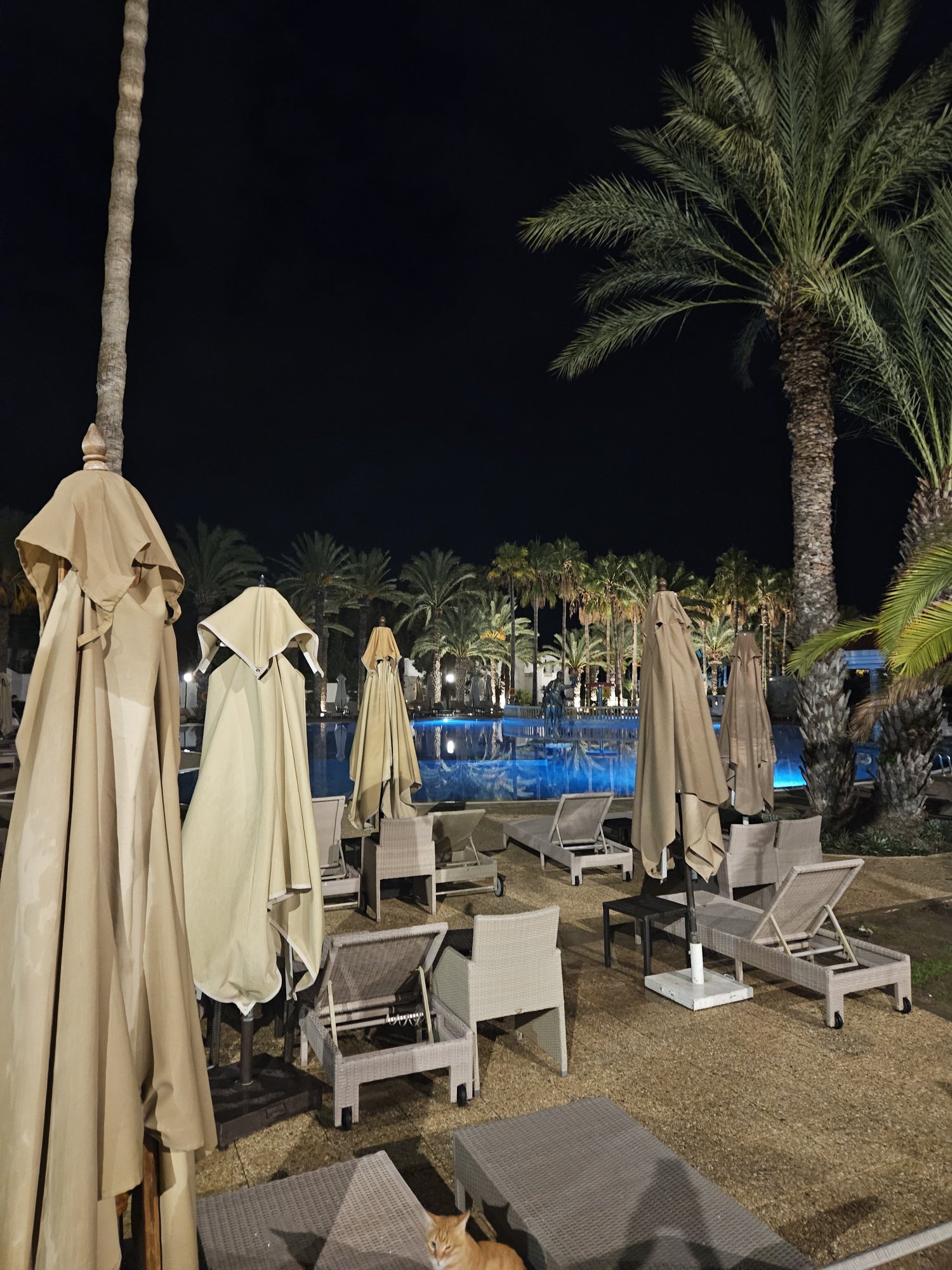 Steigenberger Marhaba Thalasso-泳池