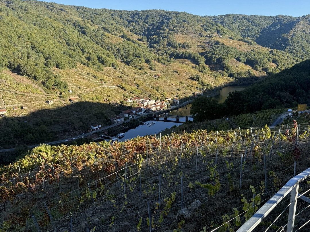 Via Romana Adegas e Vinedos-Chantada必去景点