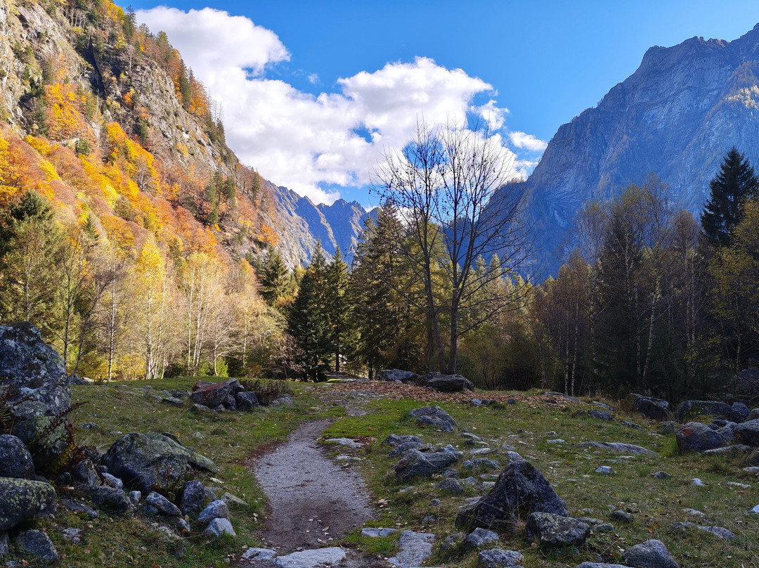 Foresta Bagni Masino-Val Masino必去景点