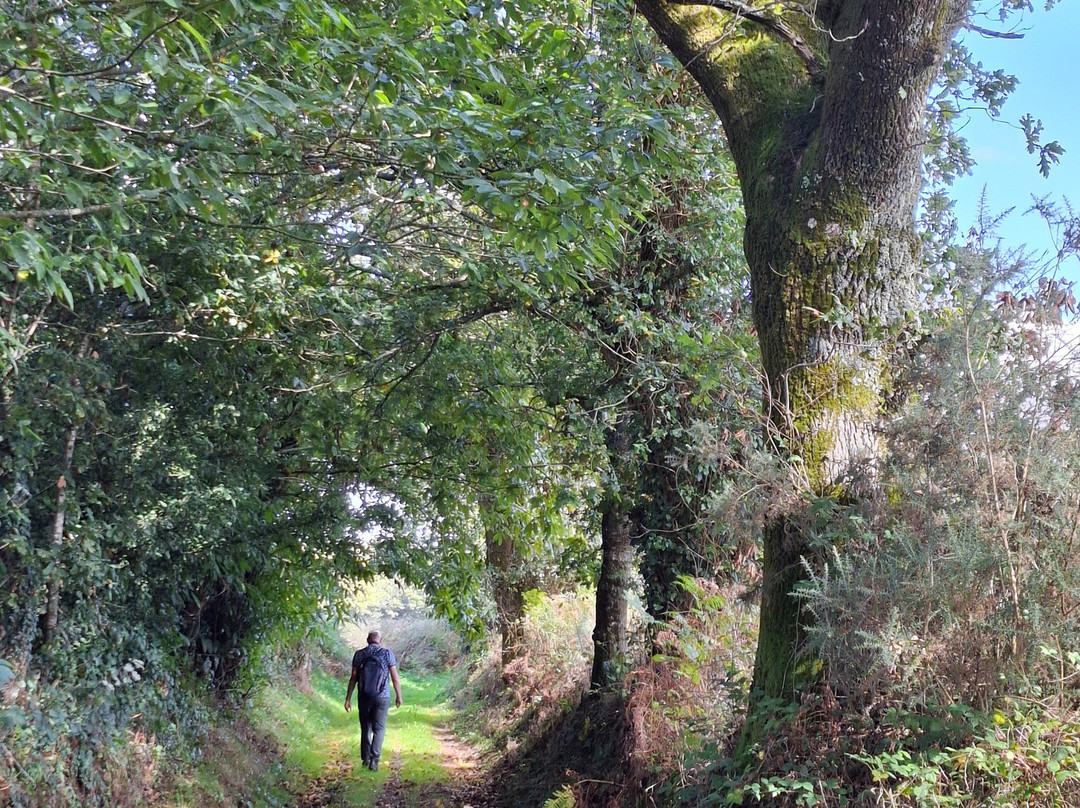 Le Circuit du Moustoir-Chateauneuf du Faou必去景点
